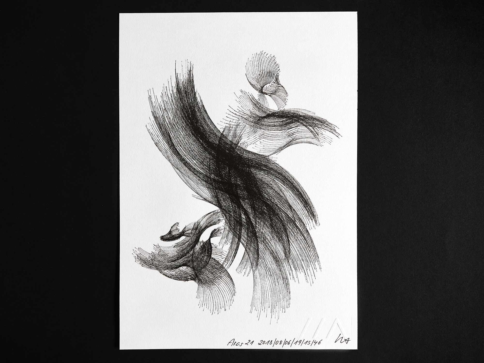 A plotter drawing of the generative work Arcs 21.